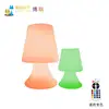 New design decorative led table lamp USB desk lamp led mini table lamp Body glow Touch discoloration