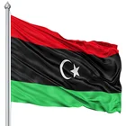 cheap promotional polyester country flag lines with differelntLibya national flag printing