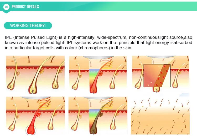 2021 tranding mini  Multifunctional ipl Machine Portable Fast Hair Removal