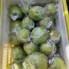 Pears Pear Pear Pears From China Pears Fresh Fruit Hot Sale Pear