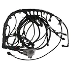 GM Customized Automobile Wire Harness, Car Engine ls1 ls3 Wire Harness