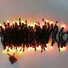 100 Halloween String Light Orange Green Purple Light