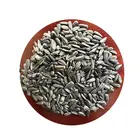 Seeds China Export Black Oil Raw Sunflower Seeds From Mongolia China