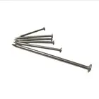 Carbon Steel Wooden Nail Common Nail with High Quality
