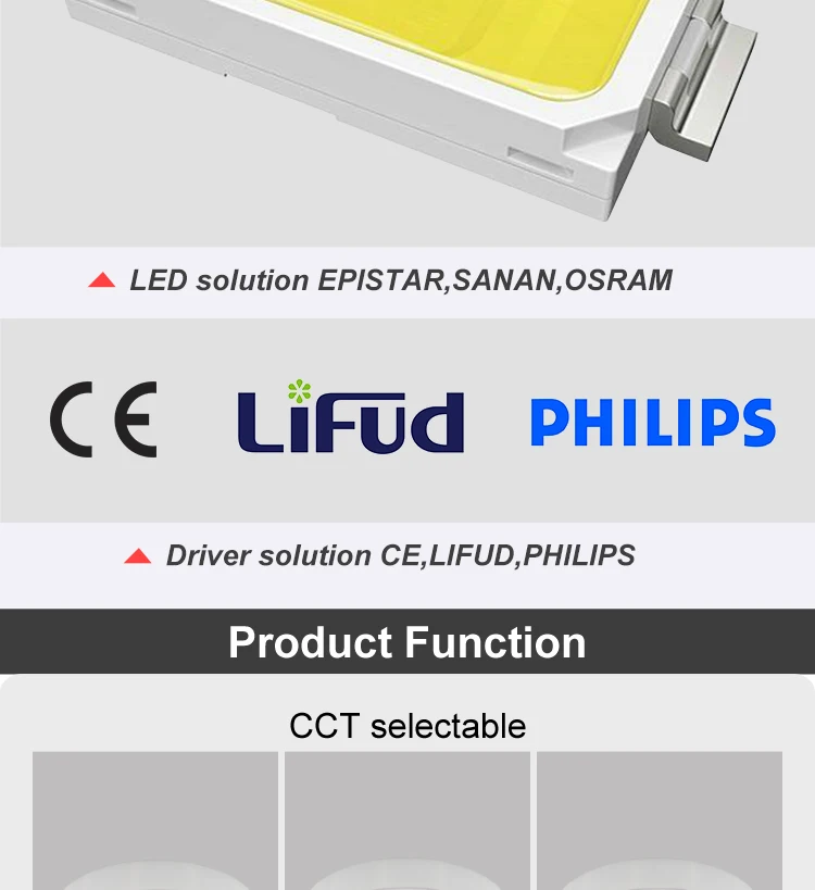 QPL-75-surface_06.jpg