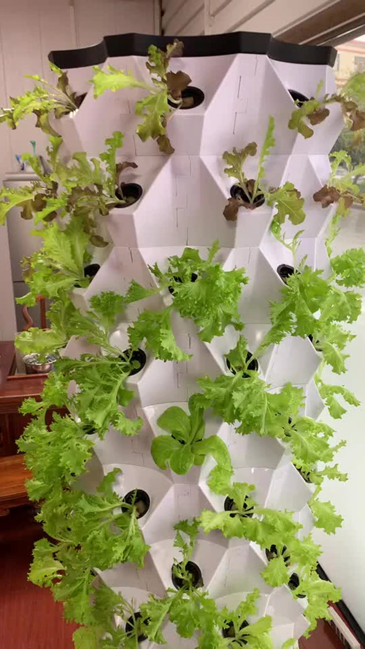 Skyplant Hydroponic Growing Systems Tower Garden Aeroponics System