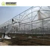 GREENDAY Agriculture Greenhouse Projects From China Supplier