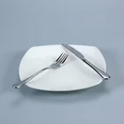 Wholesale bulk ceramic 8.5/9.5/10.5 inch dinnerware dishes plates white porcelain beef steak dinner square plate