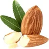 /product-detail/2019-new-products-agriculture-online-shop-free-samples-dry-nuts-food-grade-california-almond-nuts-kernels-62255277793.html