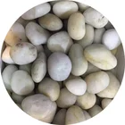 Wholesale White Beach Pebbles Oval Cobble Stone