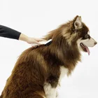 Wholesale Custom Cleaning Products ABS groom pet dog comb brush
