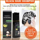 Natural Black Hair Shampoo Dye Foreign Barcode Black Hair Shampoo Manufacturer 400ml Bottle Natural Hair Dyeing