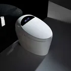 Floor-standing Smart One-piece Intelligent Toilet