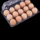 Eggs In Trays Eggs Tray 15 15 Holes Disposable Packing Boxes Chicken Fresh Eggs In Customized Plastic Packaging Trays