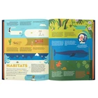 Cheap overseas bulk Adult Book, children book hardcover Boundd book print