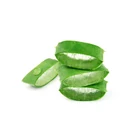 Natural Moisturizing and Hydrating Ingredients Organic Aloe Vera Gel