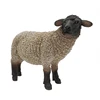 /product-detail/custom-design-garden-decoration-polyresin-life-size-sheep-realistic-farm-animal-resin-sheep-figurines--62338651275.html