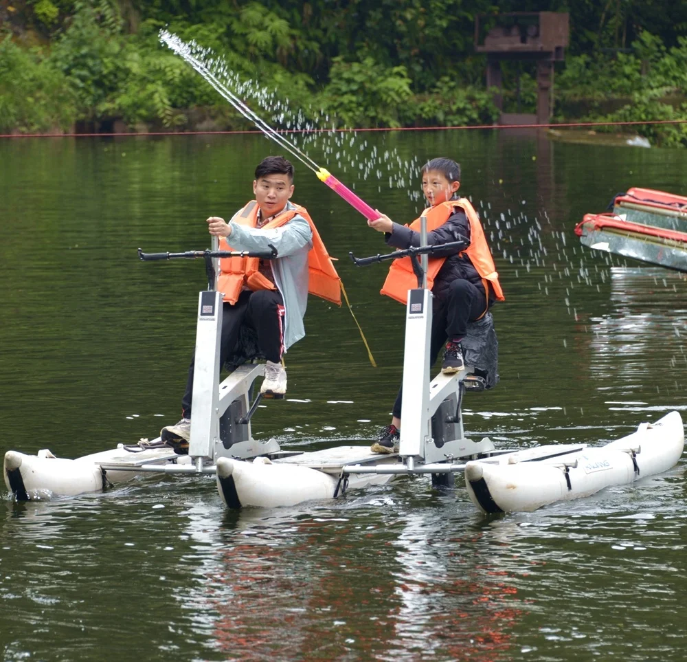 schiller water bike price