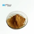 Powder Powder Iknow Wholesale Mint Extract Powder Mint Leaf Extract Powder
