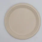 Disposable Plates 9inch Round Shape Disposable Compostable Sugarcane Bagasse Pulp Plates