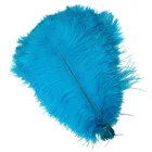 wholesale hot sale beautiful 15-80CM large ostrich feather
