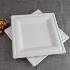 cheap price disposable sugarcane bagasse biodegradable paper plates for party