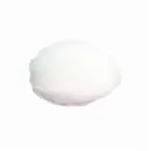Manufacturers Food Products Manufacturers Natural Chemical Food Grade Products Preservative Calcium Propionate