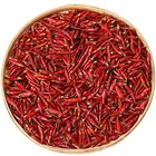 Guochen Red GC1038 Restaurant Home Use Capsicum Red Dried Pepper Chilli