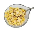 Large Grain Huazhen Frozen Dried Sweet Corn Low Price