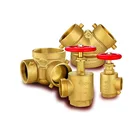 Set 2020 New Design UL/FM 2 Way Brass EXPOSED INLET FIRE DEPT CONNECTION Plugs Adapotor Set