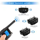 Dog Training Shock Vibration No Shock Rechargeable Dogs