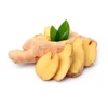 /product-detail/promotion-low-price-high-quality-organic-fresh-ginger-62332817144.html