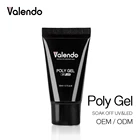 China factory Poly Gel nail builder polygel set polish Manufacturer Nail Arts design acrylic kit nail polish