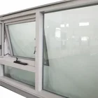 Customized Aluminum Double Glass Swing Window wall system For House