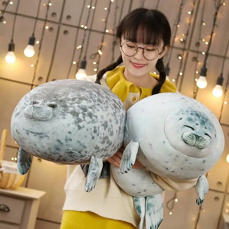haibao3.jpg