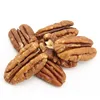 Pecan Nut Roasted Salted Pecans/Raw Pecan Nuts With Shell