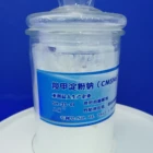 pharmaceutical grade sodium starch glycolate CAS No.9063-38-1