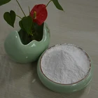 High Gloss Fiber-glass-powder Chemical Glass Grinding Powder Paint