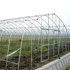 China Leading Manufacturer Greenhouse Galvanized Pipe Q235 Tubes For Sale