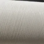Smily tex 60D Full-Dull white Cotton Touch ITY HIM Rimens cotton feel polyester DTY filament yarn