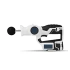 Vivanstar Vibration Cordless Full Body Massage Gun