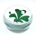 Four leaf clover glass dome paperweight
