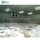 live langoustine halal chicken of turkey cold storage steak elite cold storage walk in freezer australia
