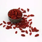 Dried Drieddried 30% Discount 100% Certified Natural Organic Dried Red Goji Fruit Berry For Sale