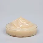 FITLUBE Wear Resistance Plastic Gear Grease