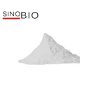 Preservative p-chloro dimethyphenol (PCMX) chloroxylenol powder CAS:88-04-0