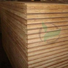 1160x2400x28mm Container Phenolic Floor Board Plywood in Linyi