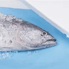 Logo Customization Meat Packaging Food Soaker Pad Absorbent Meat For Foam Supermarket Trays Packaging Seafood