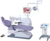 Healicom Passed GSG certification Use widely flux dental chair