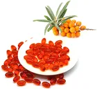 Omega 3 Fatty Acid Supplement Capsules Sea Buckthorn Seed Oil